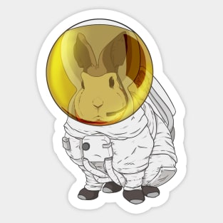 Rabbit Astronaut Sticker